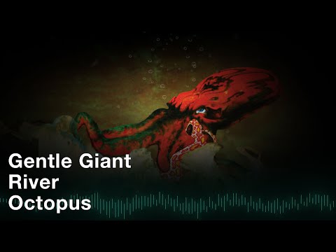 Gentle Giant - River (Official Audio)