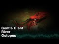 Gentle Giant - River (Official Audio)