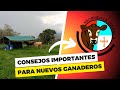 CONSEJOS IMPORTANTES PARA NUEVOS GANADEROS