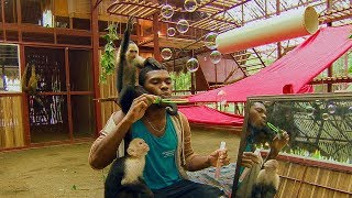 Monkeys Play with BUBBLES! | BBC Earth