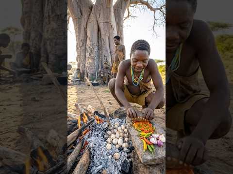 Stealing Snake Eggs From Nature: How Bushmen Risk Their Lives For Food