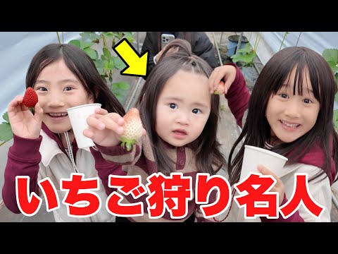 家族でいちご狩りに行ってきました♡