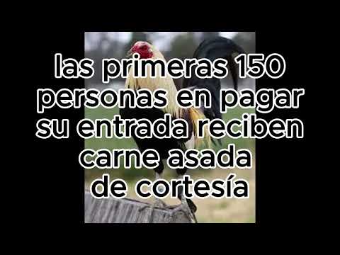 gallera