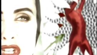 Swing Out Sister Not Gonna Change Laserdisc