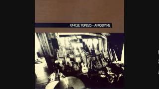 Uncle Tupelo - The Long Cut