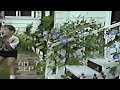VHS Treasures Young Kid Gets Scared By A Bee 1996
