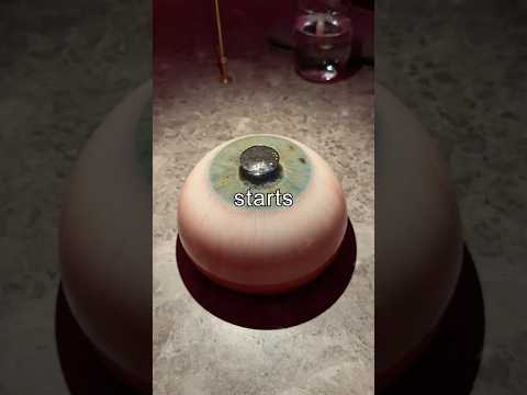 world's weirdest restaurant