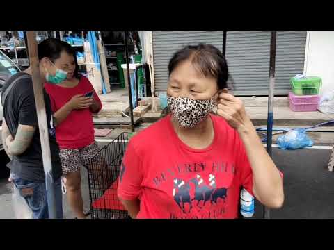Chatuchak weekend market in Mochit station Bangkok Thailand.