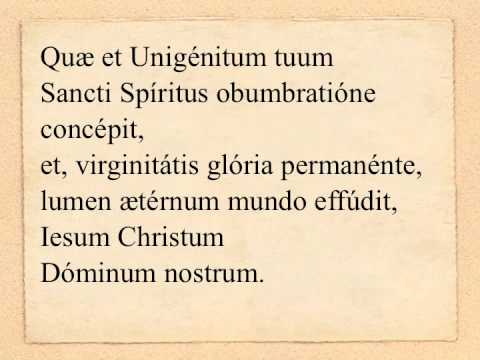 Præfatio I B. Mariæ Virginis [et te in veneratione] (sollemnis)