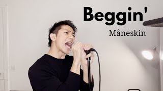 Beggin' - Måneskin (cover by Kazuki Matsumoto)