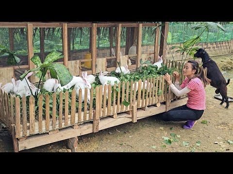 FULL VIDEO: 150 Days Building farm - Free life - gardening - Building life | Farm life