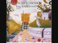Robyn Rowan Hitchcock  -  You An Oblivion - Birdshead 1995