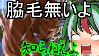 【ゆっくり茶番】湖にメロンソーダ落としたら水着のおじさんが！？