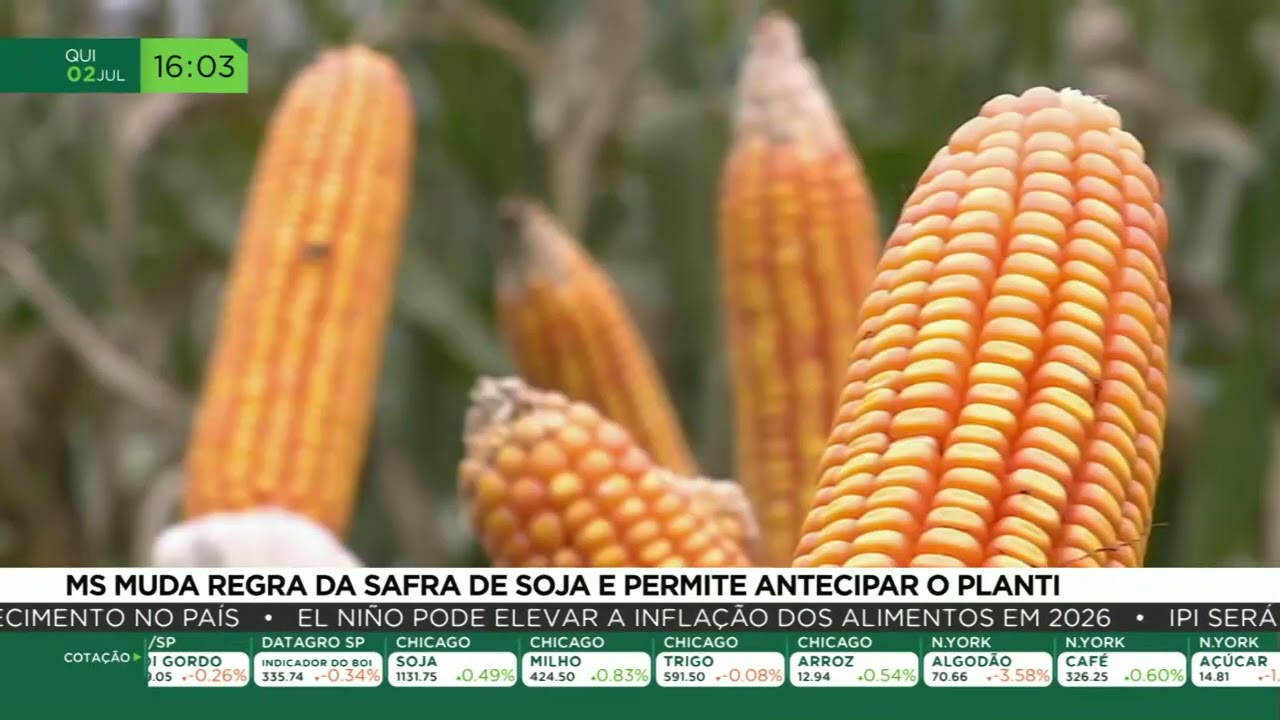 MS muda regra da safra de soja e permite antecipar o plantio