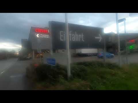 Seymour and the gulls are especially hungry and sparrows go missing . . .