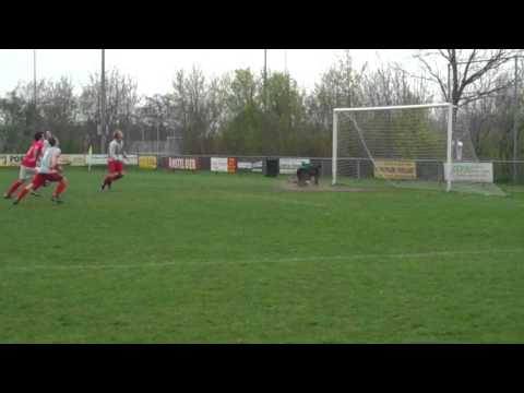 Zwaagwesteinde A1 - VV Grijpskerk A1