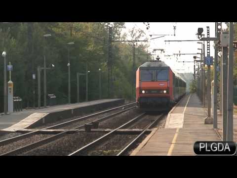 Thomery, 22 septembre 2008