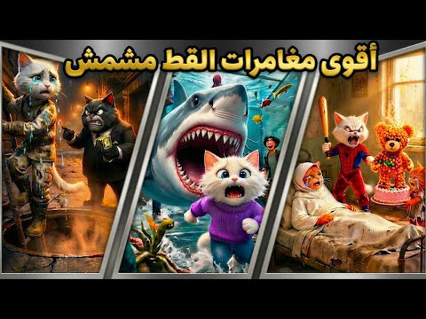 أقوى مغامرات القط مشمش 🐱💥 (ضحك × تشويق)