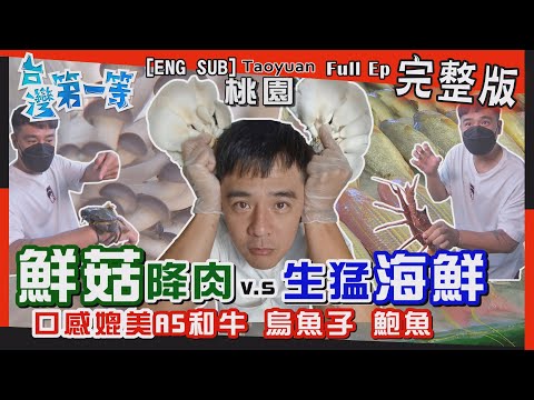 八大電視台灣第一等【永安漁港「生猛海鮮」三部曲 / HIGH玩