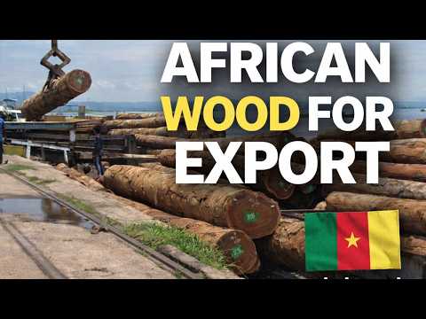 Mbakwood Timber Export Video
