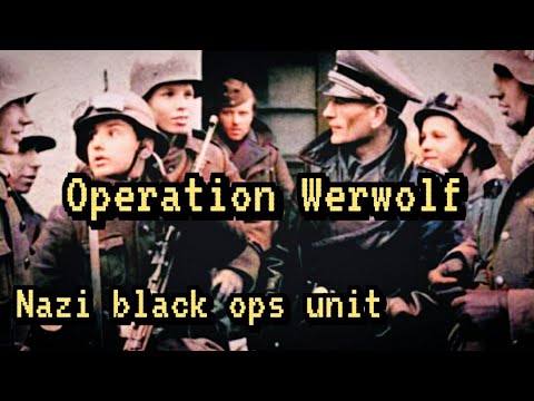 SS Werewolves take out allied mayor behind enemy lines.