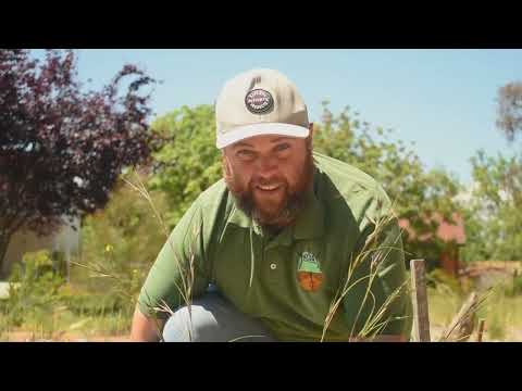 Bush Tucker - Dawson Street Gardens, Curtin