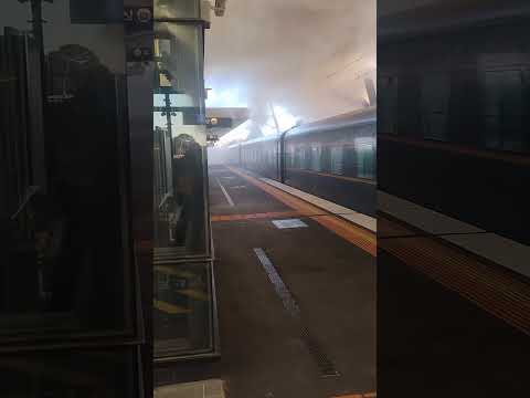 Albanese steam train part 2