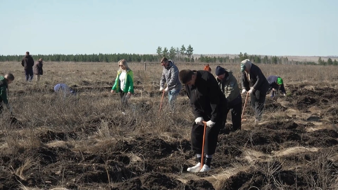 Время местное. Эфир: 20-04-2026 - Высадка зелёного пояса