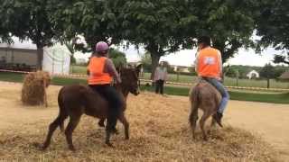 preview picture of video 'course d'âne à ferrières (60)'