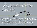 Jackie Gets Hit By Sub Adult Much More Crucial Info July 16th
