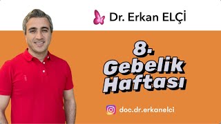 8. Gebelik Haftası