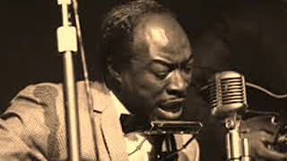 Jimmy Reed at Carnegie Hall-You Don&#39;t Have To Go