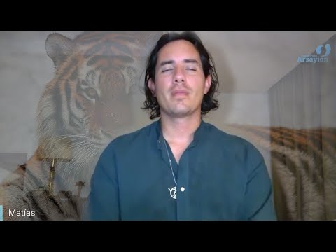 Day 357 ANIMAL - Matias De Stefano - English Edit