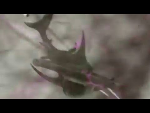 The Last Sharknado: It's About Time [2018] - Giant Hummerhead Shark Screen Time