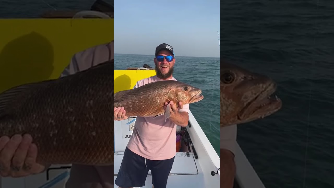 Hôtel Kasa Afrikana