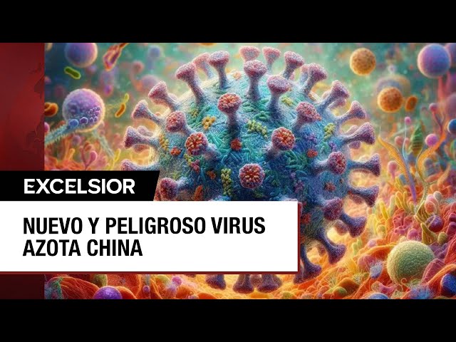 Youtube Imagen