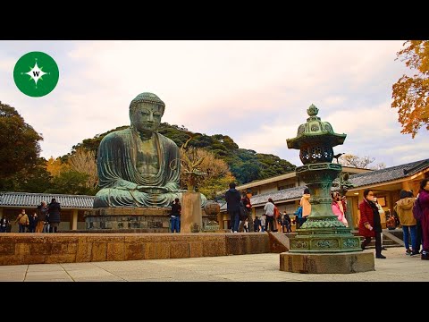 [4K] Evening Walk Around Kamakura (Featuring the Great Buddha of Kamakura)
