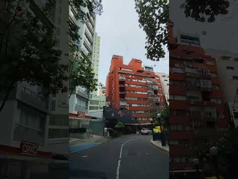 Prima, Rua Avanhandava e Libaninho #ocajal #saopaulo #paseando