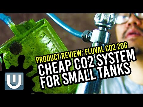 download lagu mp3 mp4 Fluval Co2, download mp3 Fluval Co2 free download mp3, download mp3 Fluval Co2
