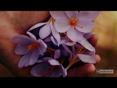 Problemi con le frazioni