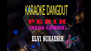 Download lagu Karaoke Perih Nada Cewek Elvi Sukaesih... mp3