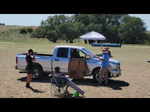 Jasper z Atarova Sadu PSA1 Trial 2022 Protection Car Jack