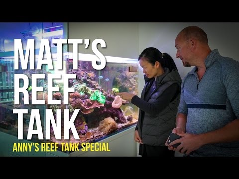 Matt's Reef Tank | Episode 8 | Anny's Reef Tank Special