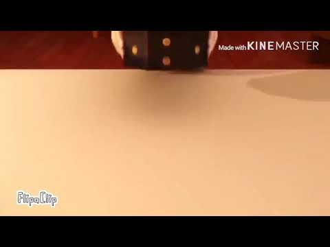 Marinette choose the peacock miraculous 🦚[FANMADE]