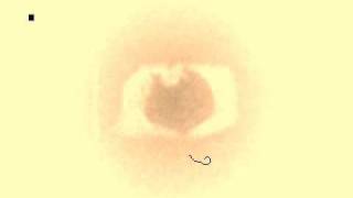 Oliver Koletzki - Music From The Heart
