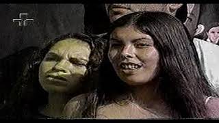 Engenheiros do Hawaii - Muros e Grades (Bem Brasil 2001)