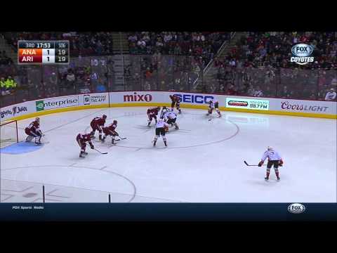 2014 12 27 Anaheim Ducks vs. Arizona Coyotes