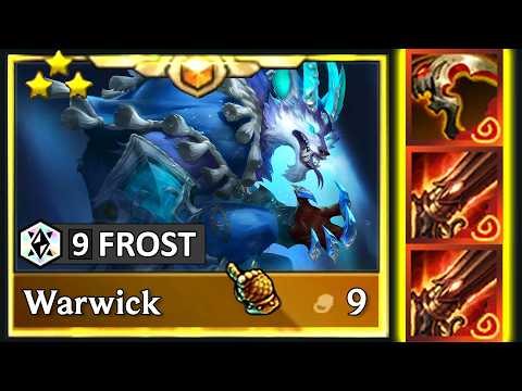 This is the BEST Warwick you’ve EVER seen! ⭐⭐⭐