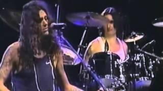 JAGUARES LAS RATAS NO TIENEN ALAS VIDEO HD