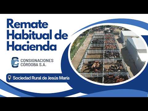 Fecha 5/10/2026 - Remate habitual de Consignaciones Córdoba.